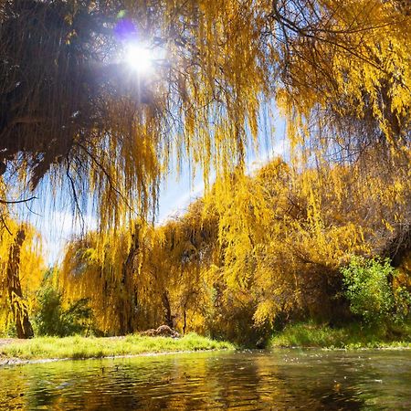 Aldea Del Valle - Elqui Villas, Піско-Елькі Екстер'єр фото