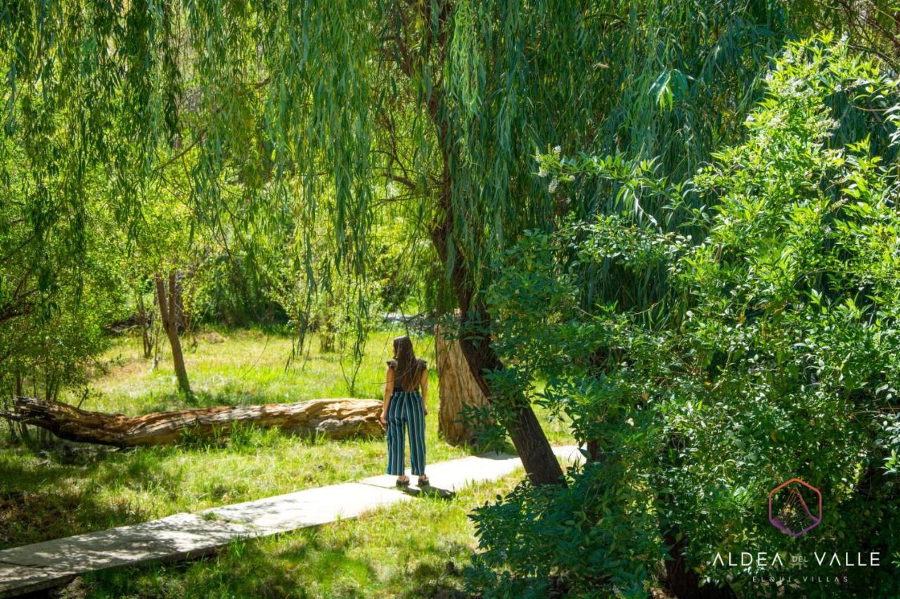 Aldea Del Valle - Elqui Villas, Піско-Елькі Екстер'єр фото