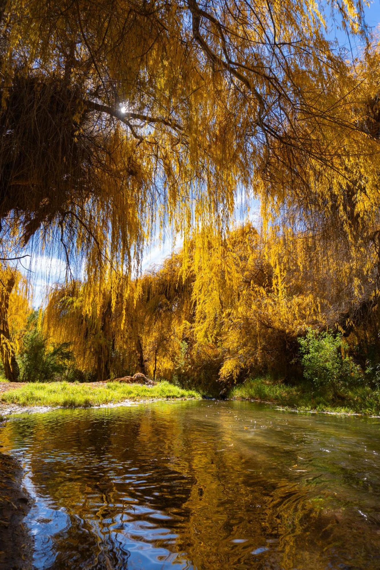 Aldea Del Valle - Elqui Villas, Піско-Елькі Екстер'єр фото