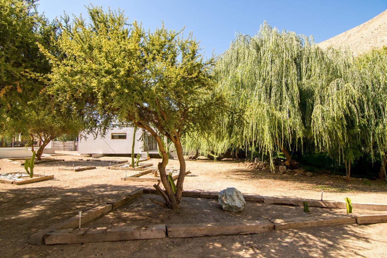 Aldea Del Valle - Elqui Villas, Піско-Елькі Екстер'єр фото