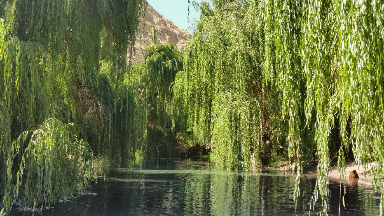 Aldea Del Valle - Elqui Villas, Піско-Елькі Екстер'єр фото